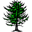 arbre