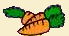 carottes