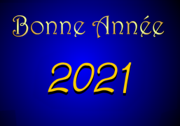 Bonne année 2025 ! - Carte de voeux virtuelle