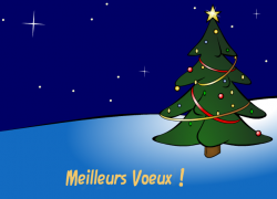 Meilleurs Voeux<br />et Joyeux Noël ! - Carte de voeux virtuelle