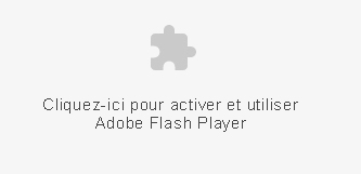 Installer Flash Player